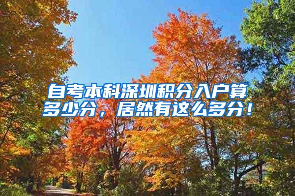 自考本科深圳积分入户算多少分，居然有这么多分！