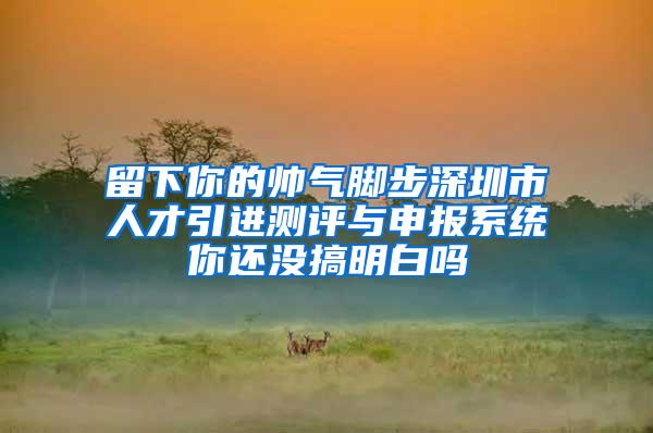 留下你的帅气脚步深圳市人才引进测评与申报系统你还没搞明白吗