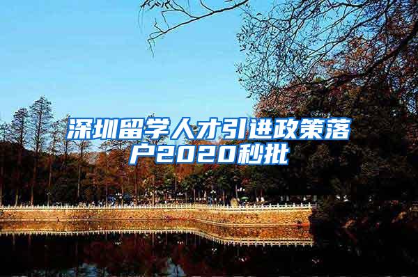 深圳留学人才引进政策落户2020秒批