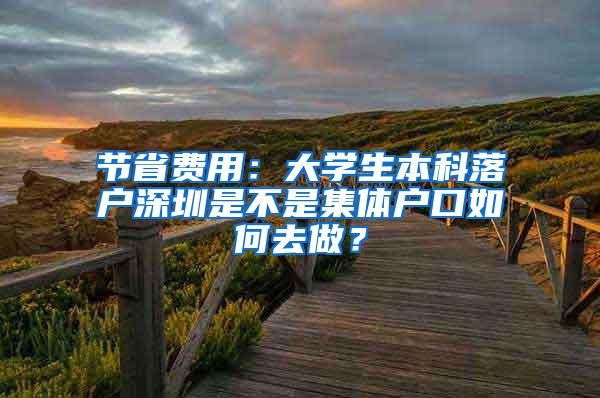 节省费用：大学生本科落户深圳是不是集体户口如何去做？