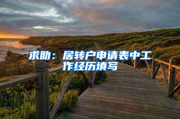 求助：居转户申请表中工作经历填写