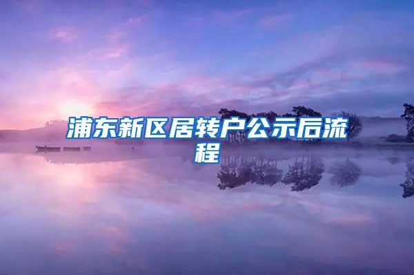 浦东新区居转户公示后流程