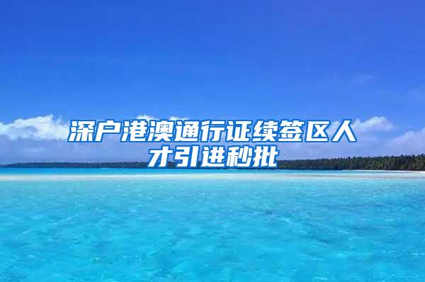 深户港澳通行证续签区人才引进秒批
