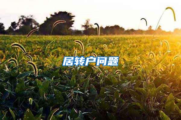 居转户问题