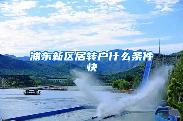 浦东新区居转户什么条件快