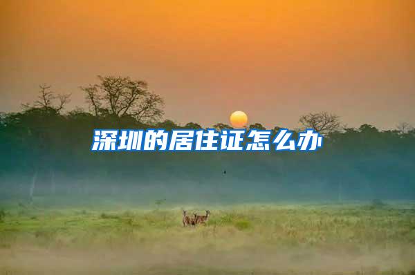 深圳的居住证怎么办