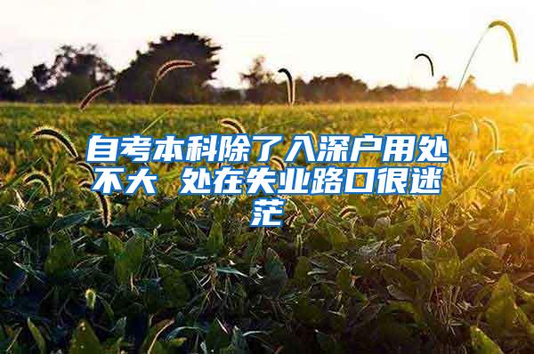 自考本科除了入深户用处不大 处在失业路口很迷茫