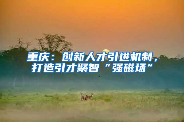 重庆：创新人才引进机制，打造引才聚智“强磁场”
