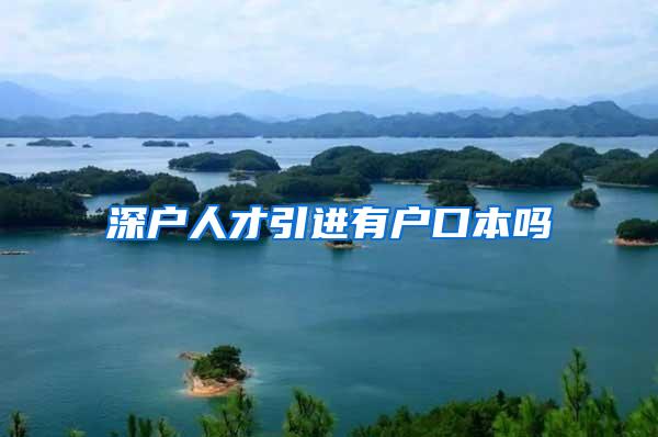 深户人才引进有户口本吗