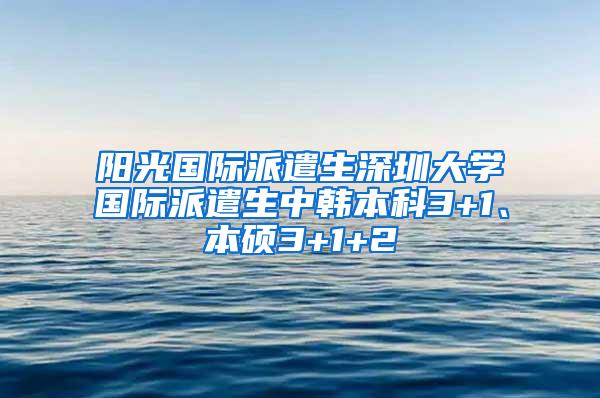 阳光国际派遣生深圳大学国际派遣生中韩本科3+1、本硕3+1+2