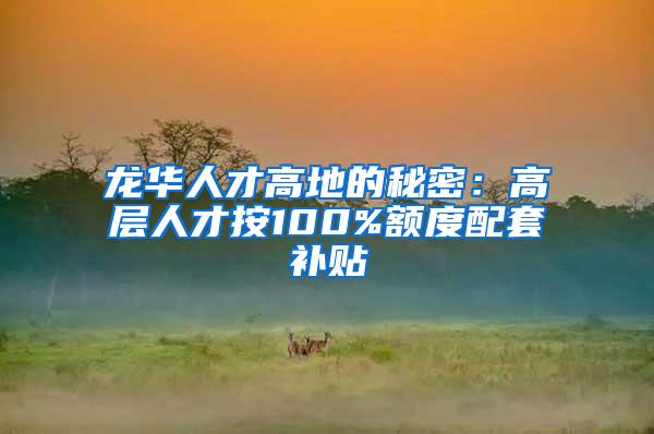 龙华人才高地的秘密：高层人才按100%额度配套补贴