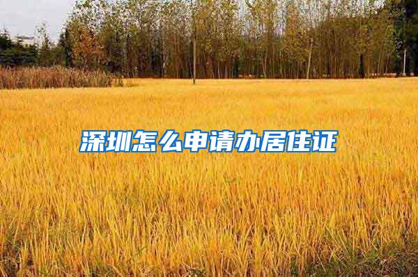 深圳怎么申请办居住证