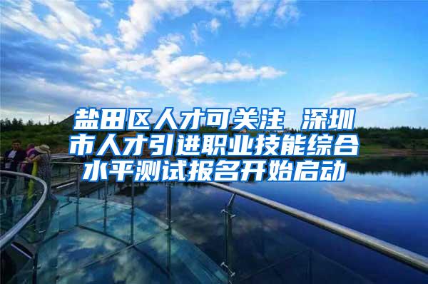 盐田区人才可关注 深圳市人才引进职业技能综合水平测试报名开始启动