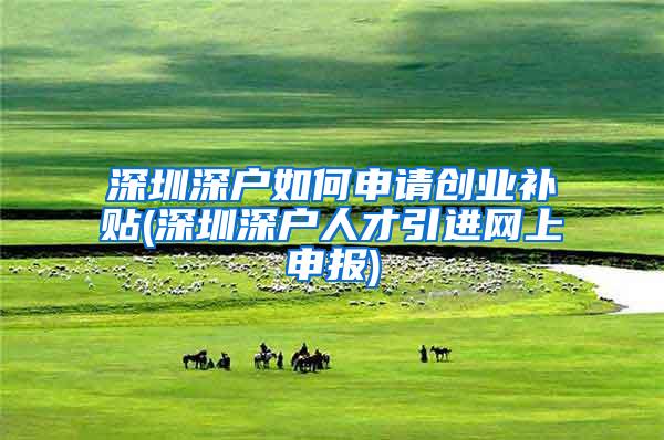 深圳深户如何申请创业补贴(深圳深户人才引进网上申报)