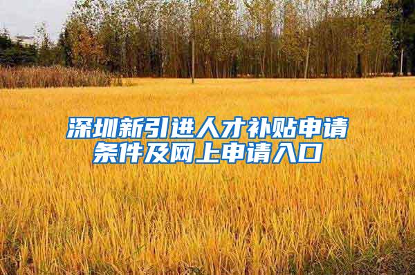 深圳新引进人才补贴申请条件及网上申请入口