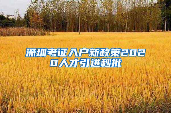 深圳考证入户新政策2020人才引进秒批