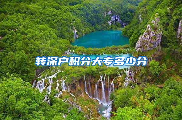 转深户积分大专多少分
