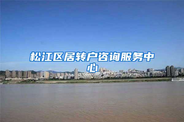 松江区居转户咨询服务中心