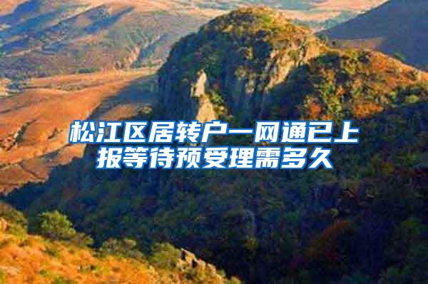 松江区居转户一网通已上报等待预受理需多久