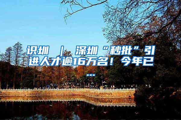 识圳 ｜ 深圳“秒批”引进人才逾16万名！今年已...