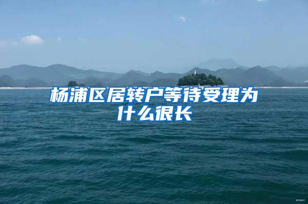 杨浦区居转户等待受理为什么很长