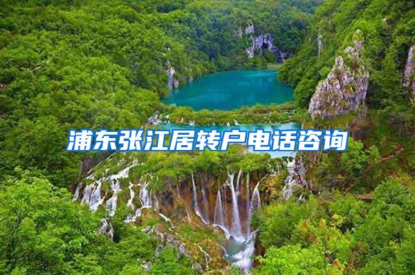 浦东张江居转户电话咨询