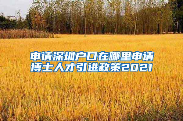 申请深圳户口在哪里申请博士人才引进政策2021