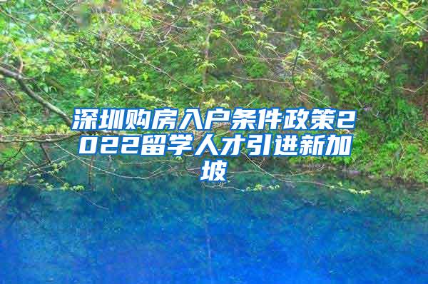 深圳购房入户条件政策2022留学人才引进新加坡