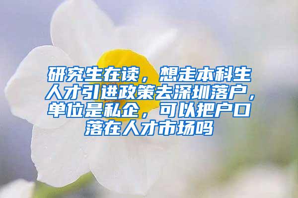 研究生在读，想走本科生人才引进政策去深圳落户，单位是私企，可以把户口落在人才市场吗