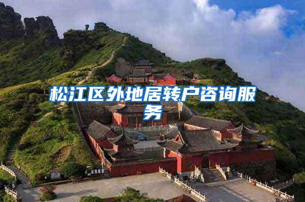 松江区外地居转户咨询服务