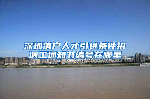 深圳落户人才引进条件招调工通知书编号在哪里