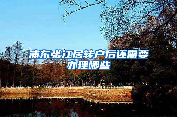 浦东张江居转户后还需要办理哪些