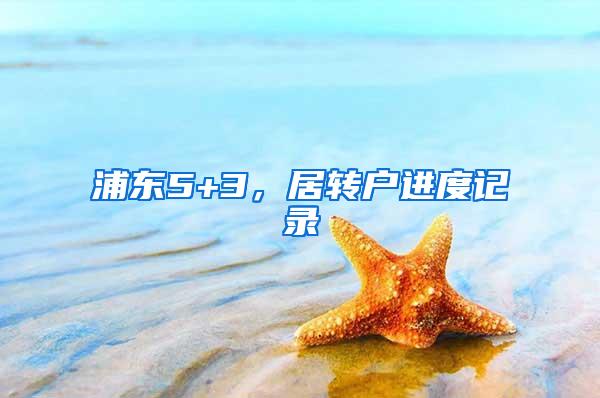 浦东5+3，居转户进度记录