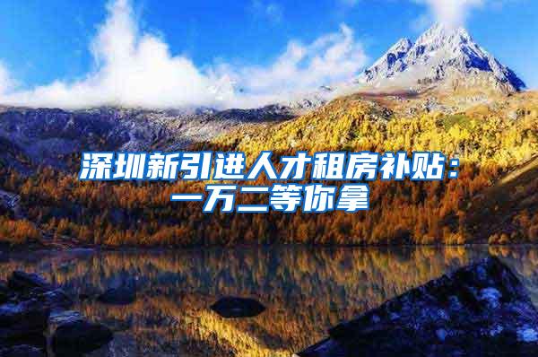 深圳新引进人才租房补贴：一万二等你拿