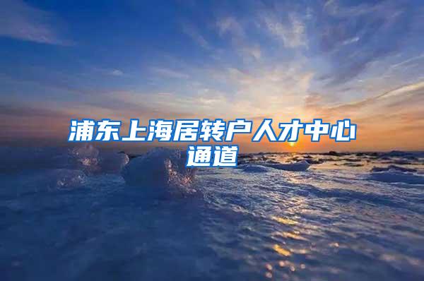 浦东上海居转户人才中心通道