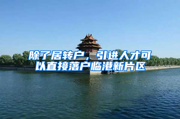 除了居转户，引进人才可以直接落户临港新片区