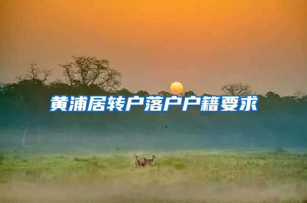 黄浦居转户落户户籍要求