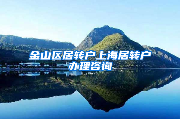 金山区居转户上海居转户办理咨询