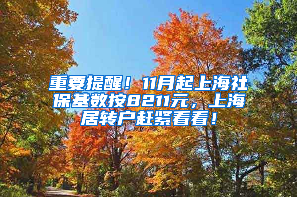 重要提醒！11月起上海社保基数按8211元，上海居转户赶紧看看！