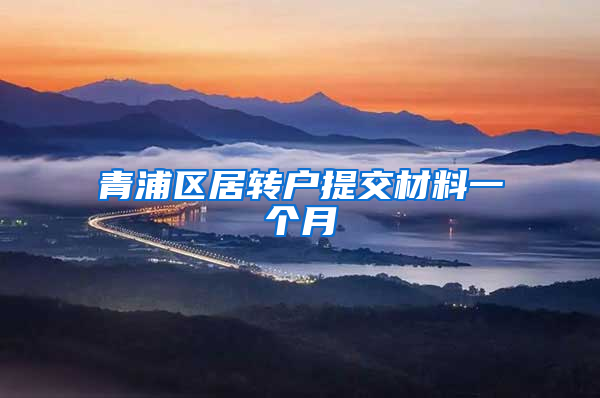 青浦区居转户提交材料一个月