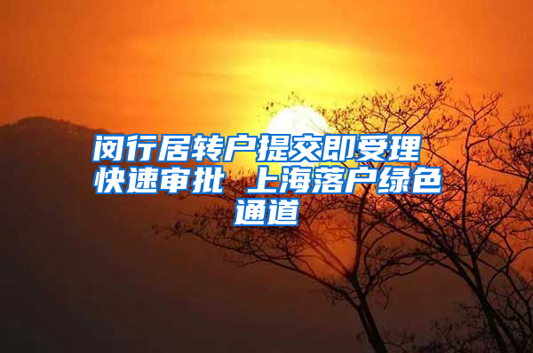闵行居转户提交即受理 快速审批 上海落户绿色通道