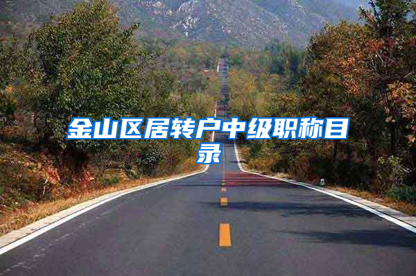 金山区居转户中级职称目录