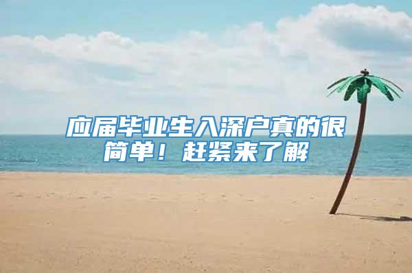 应届毕业生入深户真的很简单！赶紧来了解