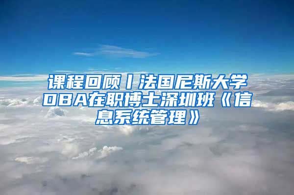 课程回顾丨法国尼斯大学DBA在职博士深圳班《信息系统管理》