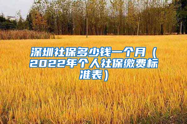 深圳社保多少钱一个月（2022年个人社保缴费标准表）