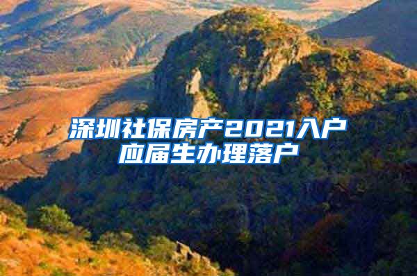 深圳社保房产2021入户应届生办理落户