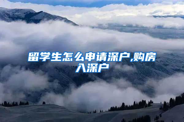 留学生怎么申请深户,购房入深户