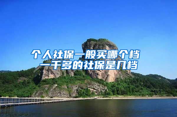 个人社保一般买哪个档 一千多的社保是几档