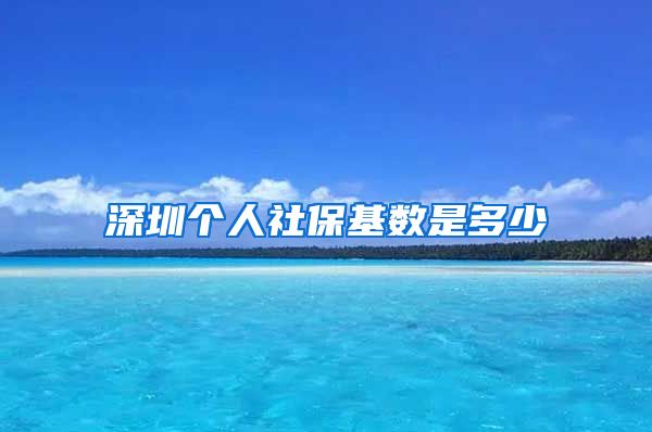 深圳个人社保基数是多少