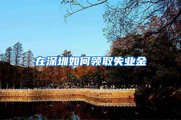 在深圳如何领取失业金
